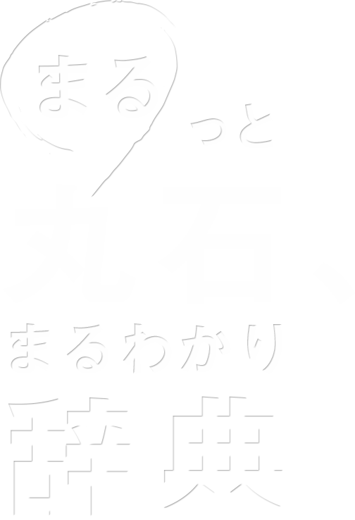 まるっと丸石、まるわかり辞典